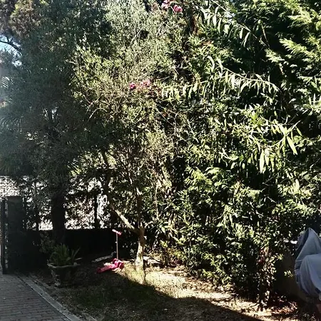 Apartament Seasons 3 *