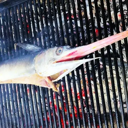 Apartament Seasons 3 Golem (Tirana)